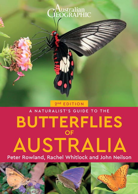 A Naturalist's Guide to the Butterflies of Australia (2nd) by... - 9781913679194