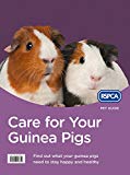 Care for Your Guinea Pigs