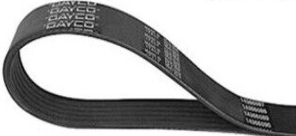DAYCO 4PK1070 V-Ribbed Belt for DACIA,LEXUS,RENAULT,ROVER,TOYOTA