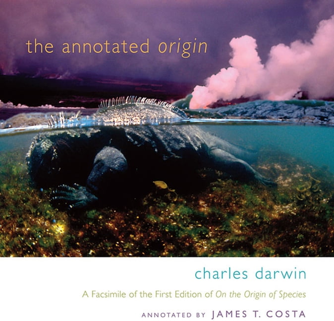 The Annotated Origin A Facsimile of the First by Charles Darwin PAPERBACK - Image 3