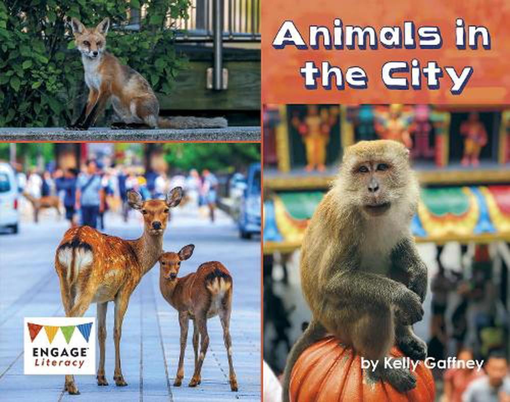 Animals in the City by Kelly Gaffney - 9781474799478