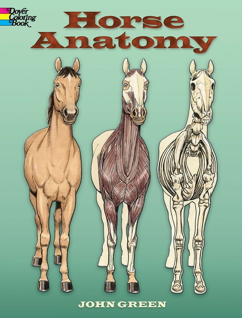 Horse Anatomy Coloring Book (Dover Nature Coloring Book) - Image 11