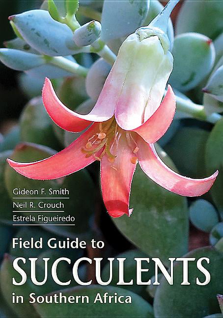 Field Guide to Succulents of Southern Africa by Gideon Smith - 9781775843672