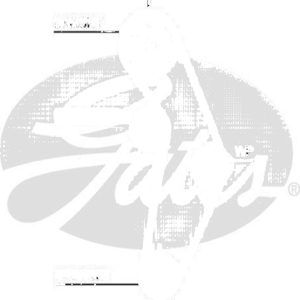 Timing belt T245 GATES for CHRYSLER DODGE PLYMOUTH - Image 3