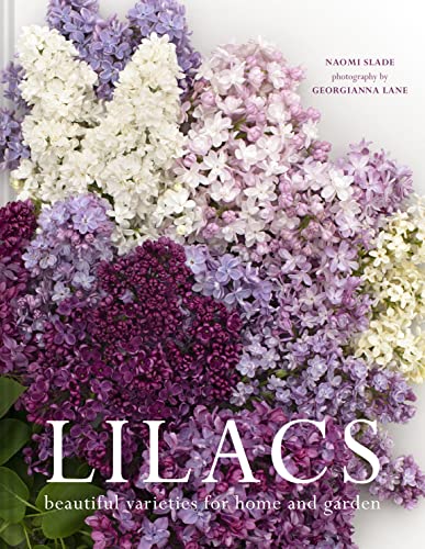 Lilacs: Beautiful varieties for home and garden by Naomi Slade - Image 5