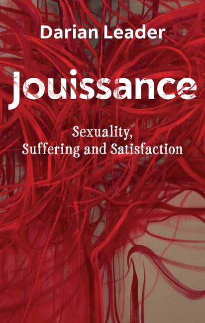 Jouissance – Sexuality, Suffering and Satisfaction Leader Paperback Polity Press - Image 3
