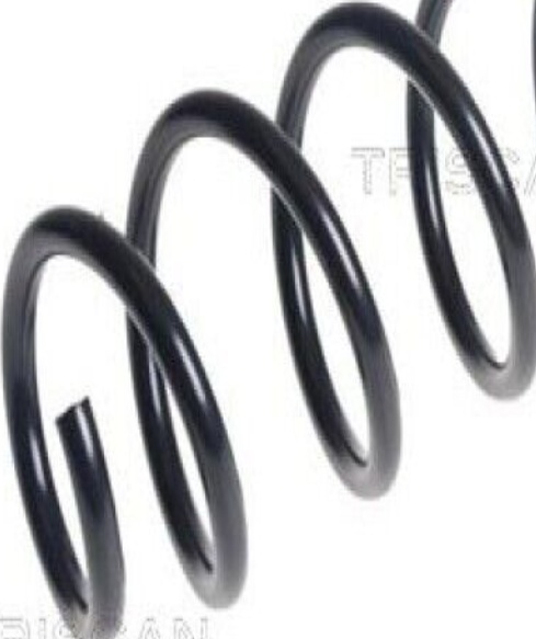 REAR COIL SPRING FOR BMW 5