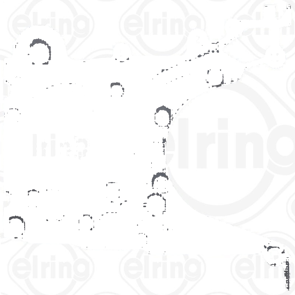 ELRING 921.266 Gasket, timing case for BMW