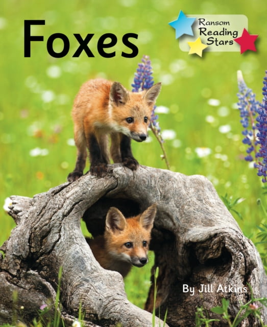Foxes by Atkins Jill - - Image 5