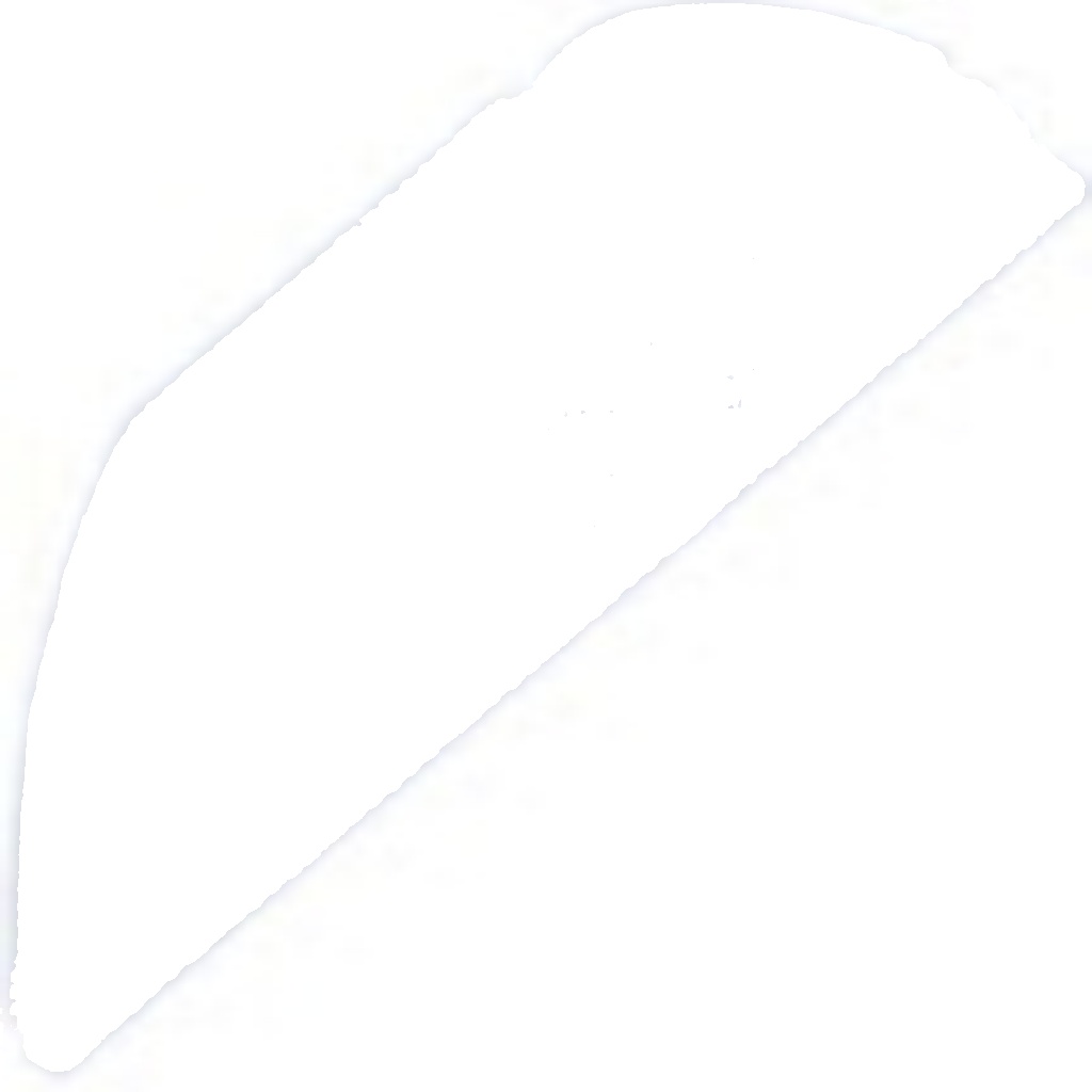 NTY OE EGR-FR-012 EGR Valve for FORD