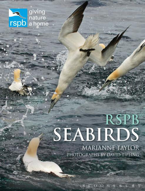 RSPB Seabirds by Marianne Taylor, David Tipling - 9781472964502