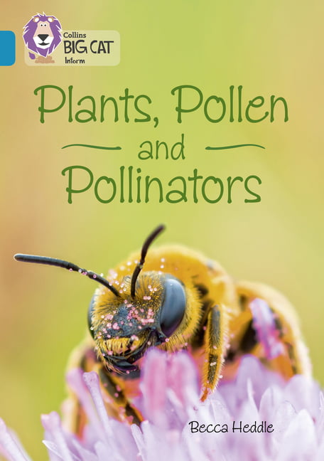 Plants, Pollen and Pollinators: Band 13/Topaz (Collins Big Cat) by Becca Heddle - Image 5