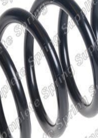 REAR COIL SPRING FOR NISSAN QASHQAI