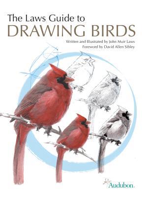 The Laws Guide To Drawing Birds John Muir Laws - Image 3