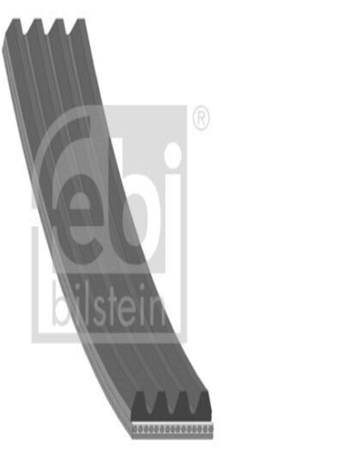 FEBI 28813 V-RIBBED BELT