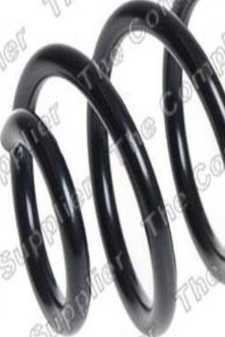 Rear LESJÖFORS 4227636 Suspension Spring for FORD