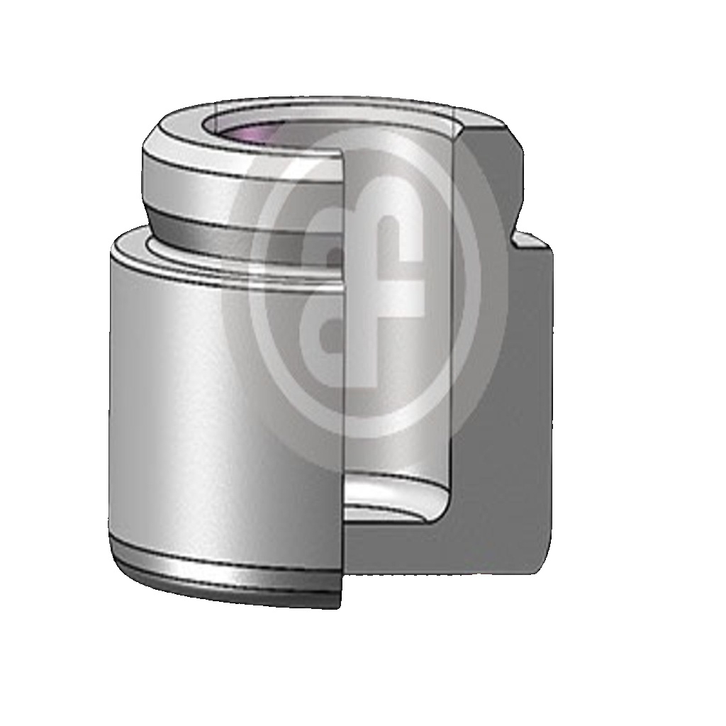 AUTOFREN SEINSA D025445 Piston, brake caliper for FORD