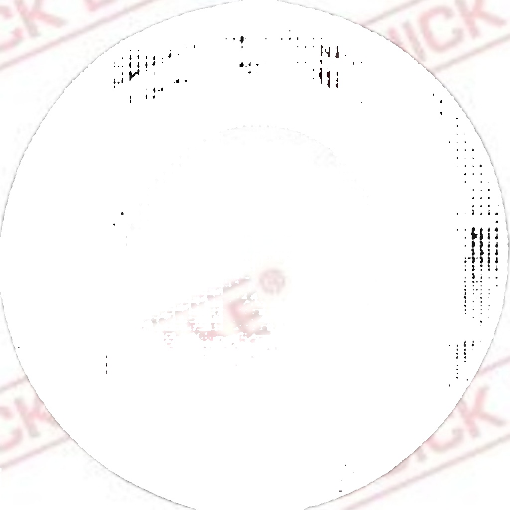 Rear QUICK BRAKE 114-0258 Repair Kit, brake caliper for FORD,MAN,VW
