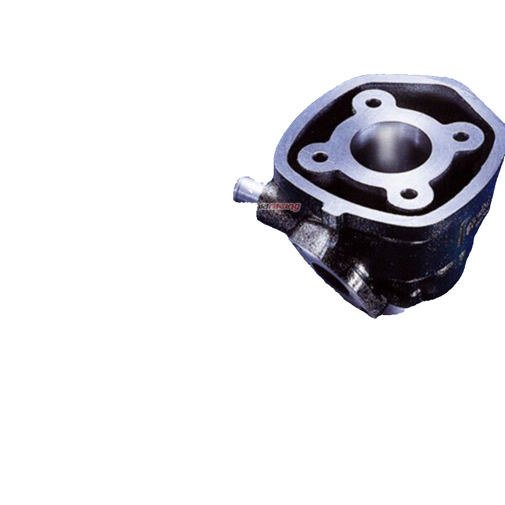 Polini Kit Yamaha Minarelli Aprilia H2O Ø40 (1660094) For Motorcycle Parts