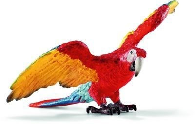 Macaw