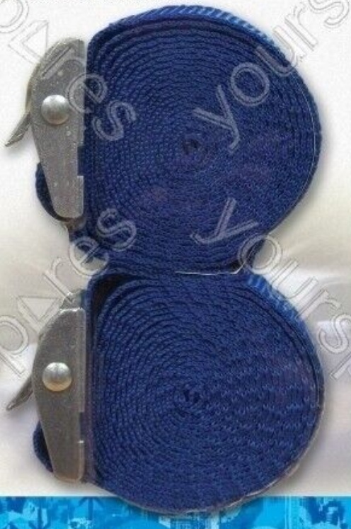 Streetwize 2.5m Adjustable Buckle Straps – Pack of 2 New