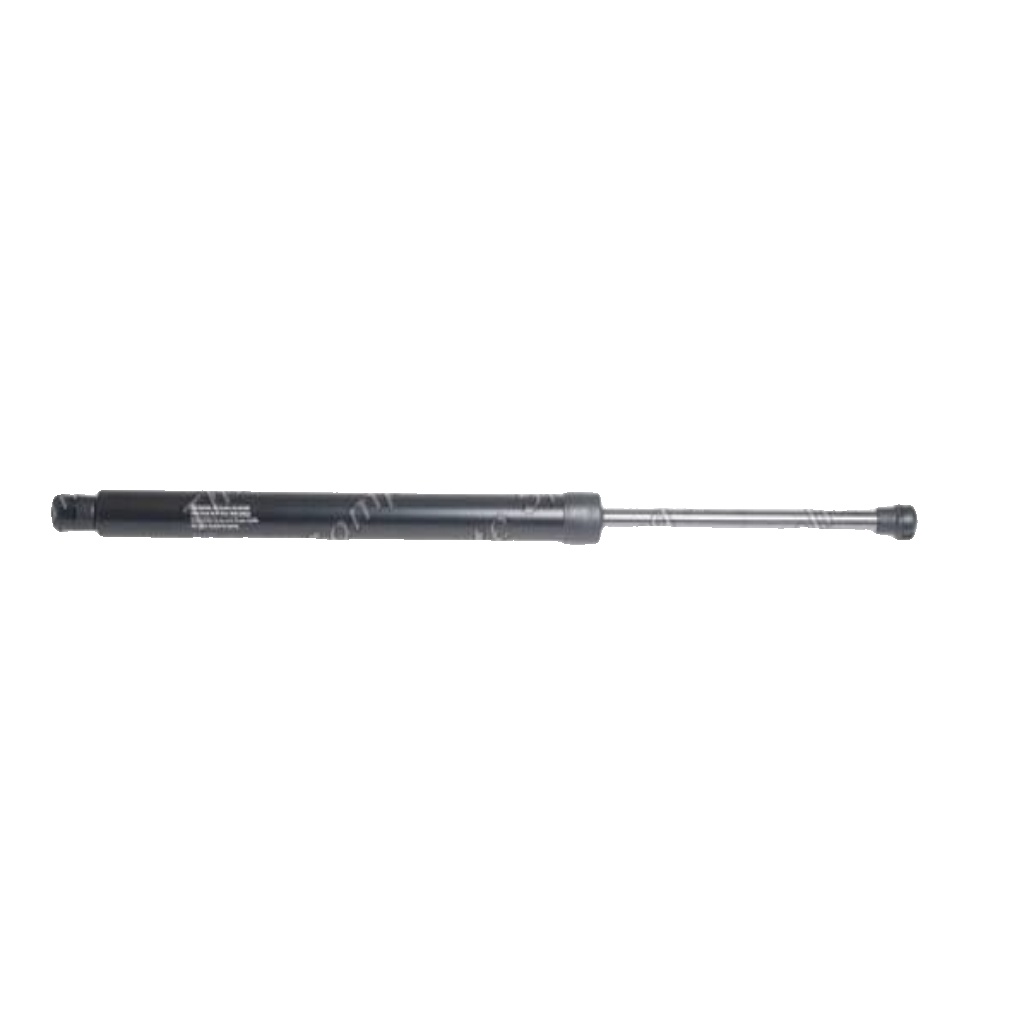 Rear LESJÖFORS 8182922 Gas Spring, boot-/cargo area for SEAT,VW