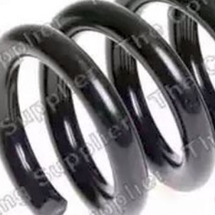 # KILEN 63600 COIL SPRING Rear