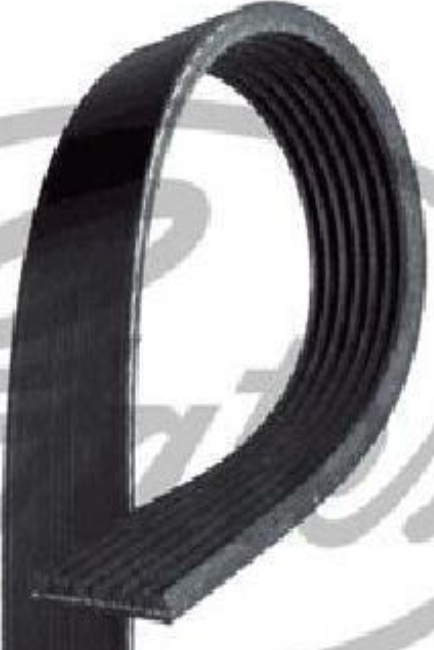 Gates 7PK1020 V-Ribbed Belt Fits Isuzu