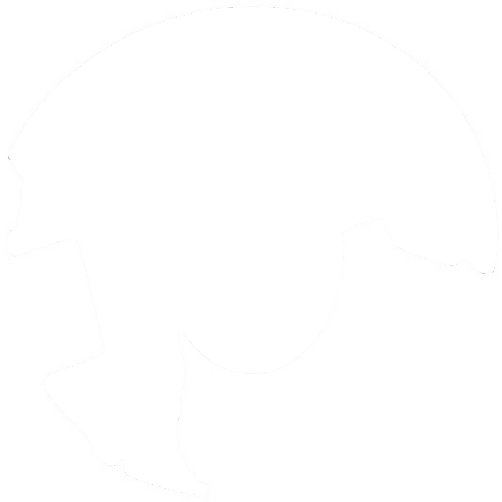 11413 A.B.S. Splash Panel, brake disc for FORD