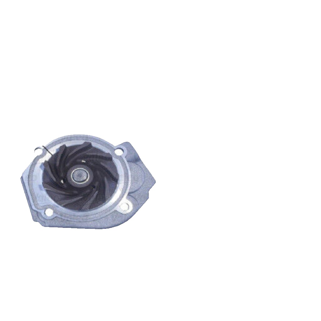 VALEO 506967 Water Pump for ABARTH,ALFA ROMEO,CHRYSLER,DODGE,FIAT,FORD,JEEP,LANC