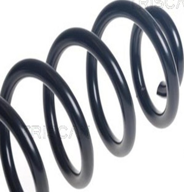 Rear LESJÖFORS 4204321 Coil Spring for AUDI