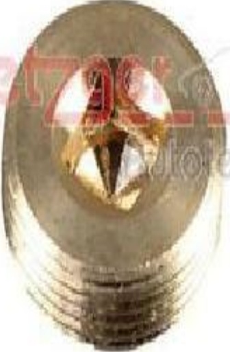 Original METZGER Drain plug Oil pan 8030072 for Citroën Peugeot