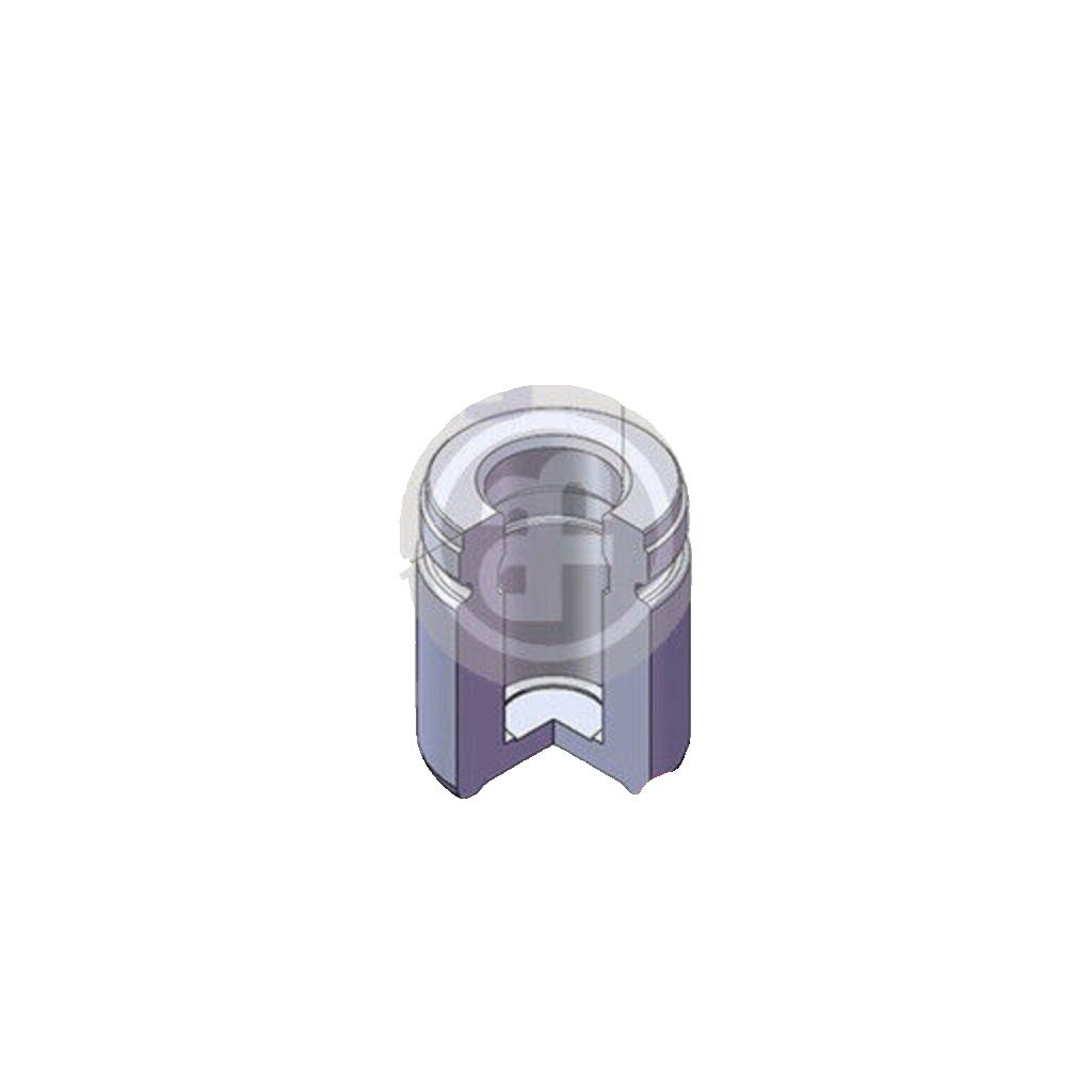 Für AUTOFREN SEINSA D02577 BRAKE CALIPER PISTON. BMW E46 98- RE