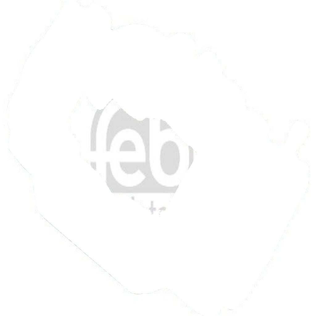 Febi Bilstein Bilstien Brake Caliper Front Axle Right 179254 - OE Matching