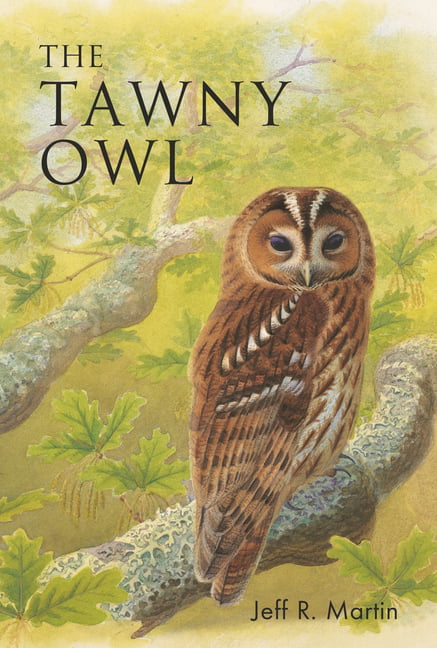 The Tawny Owl by Mr Jeff Martin PAPERBACK 9781472980694 - Image 2