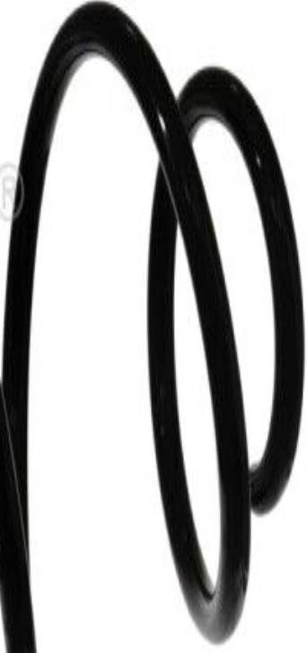 FEBI 46922 SUSPENSION SPRING Front