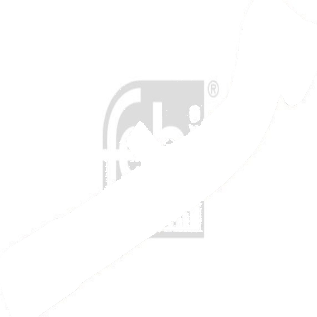 FEBI 48813 HOSE CRANKCASE VENTILATION