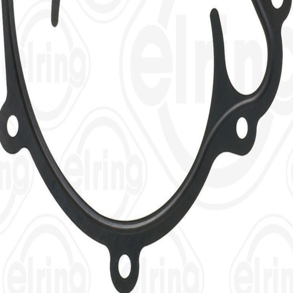 ELRING 540.880 Gasket, water pump for ,CHRYSLER,DODGE,FREIGHTLINER,JEEP,MERCEDES