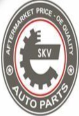 Fits SKV GERMANY 29SKV460 WHEEL HUB WITH BEARING 29SKV460 REAR , FORD ⭐UK Stock⭐