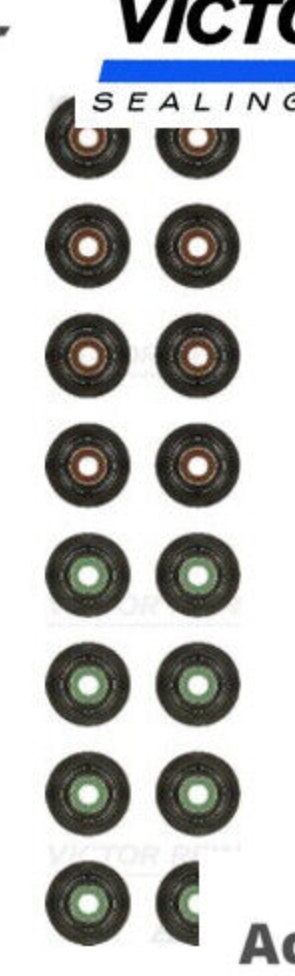 VICTOR REINZ 12-33876-01 Seal Set, valve stem for FORD,FORD ASIA & OCEANIA,FORD