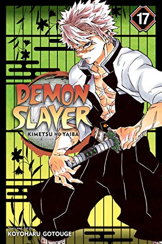 Demon Slayer: Kimetsu no Yaiba, Vol. 17 Volume 17