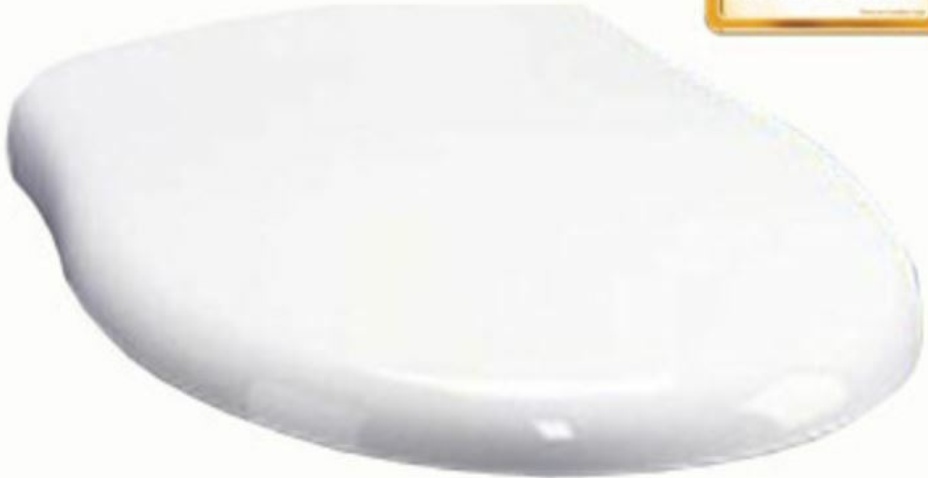 Ideal Standard Genuine Alto toilet seat and cover E759001