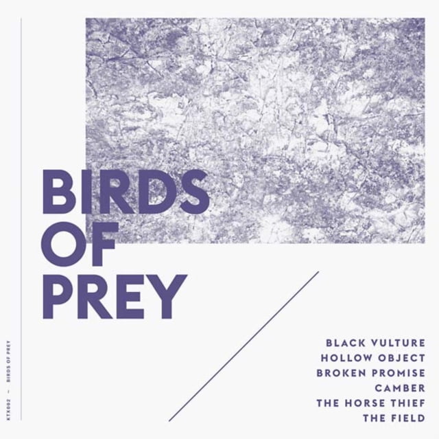 Birds Of Prey