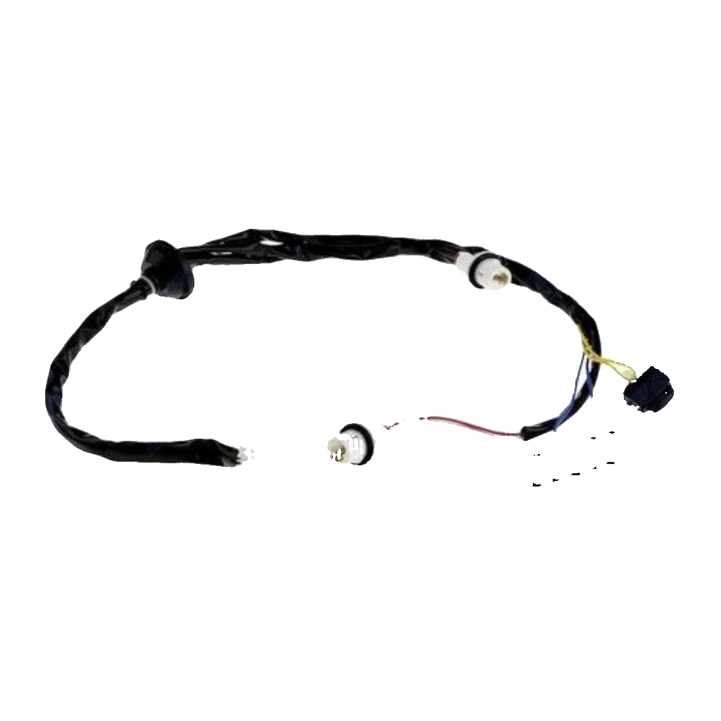 EZC-NS-011 NTY Switch, tailgate