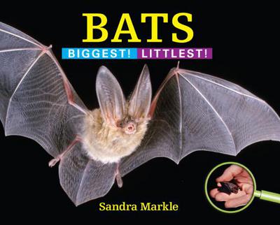 Bats: Biggest! Littlest! by Sandra Markle (English) Hardcover Book
