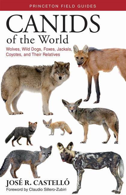Canids of the World by Jos R. Castell, Claudio Sillero-Zubiri - 9780691176857