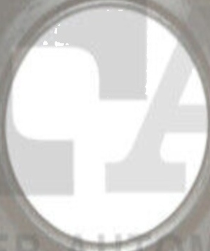 422-505 FA1 Seal, turbine inlet (charger) for RENAULT