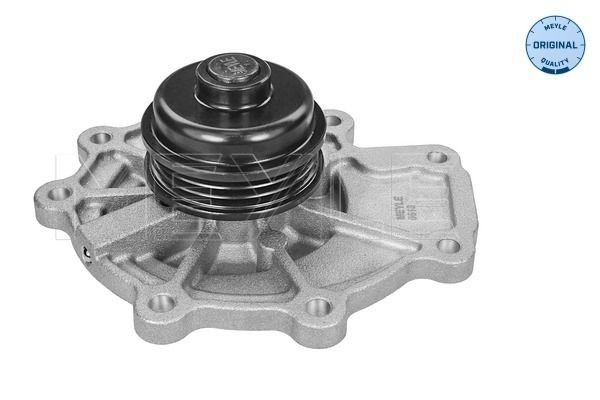Original MEYLE Water Pump 713 220 0011 for Ford Jaguar