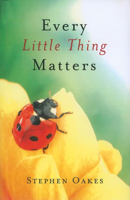 Every Little Thing Matters Oakes Paperback John Hunt 9781846944239