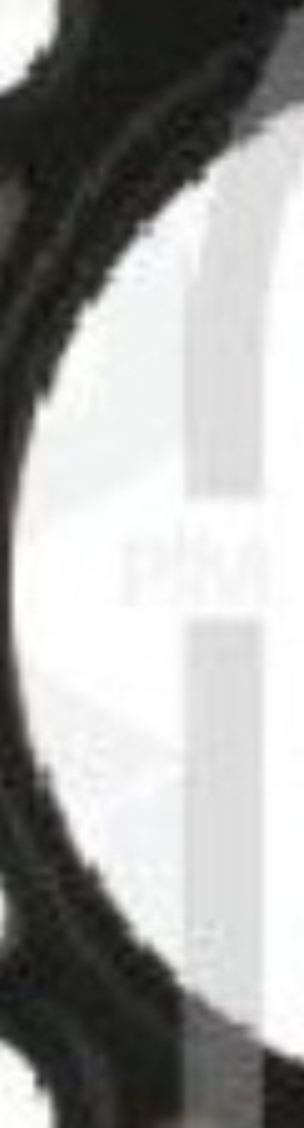 FEBI 38987 GASKET CYLINDER HEAD